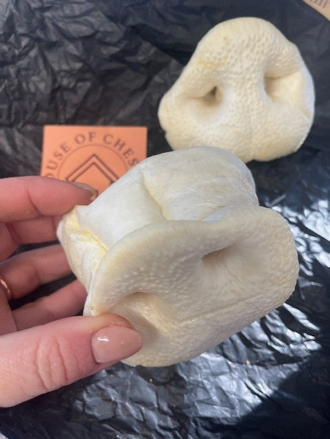 XL Puffed Pig Snout image 1