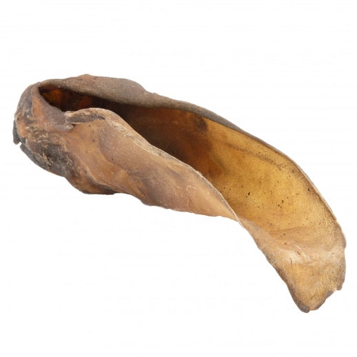 Buffalo Ear image 1