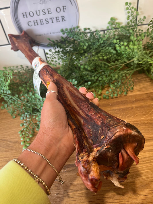 Ostrich Cave Man Bone