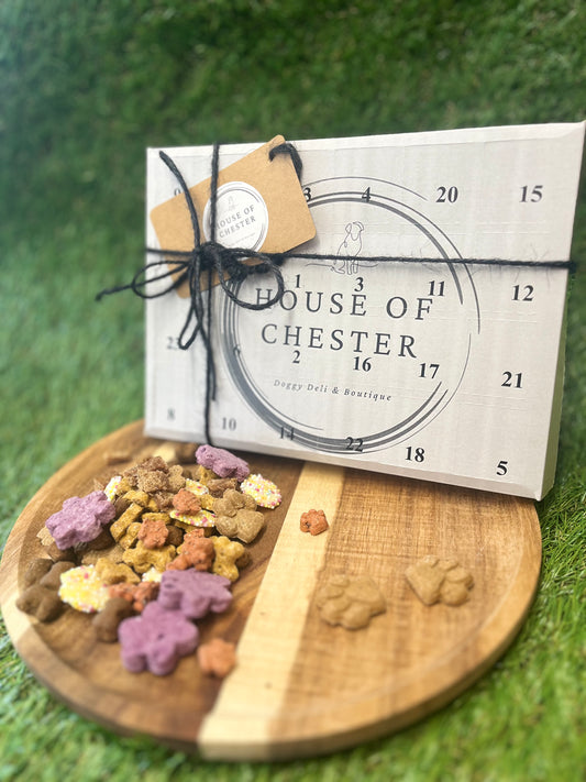 Chester’s 24 Day Doggy Advent Calendar 2025