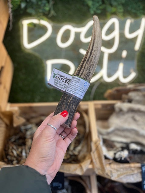 Deer Antler