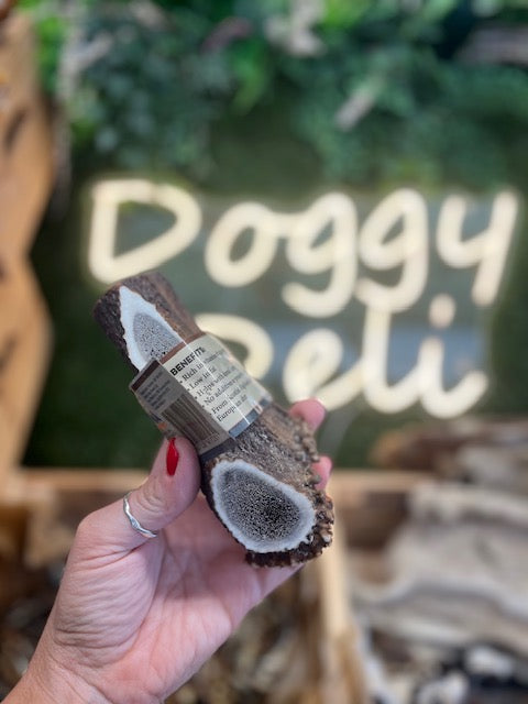 Deer Antler