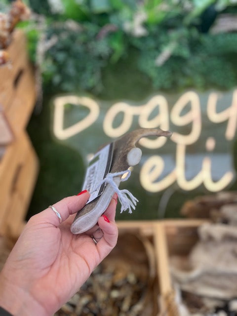 Deer Antler