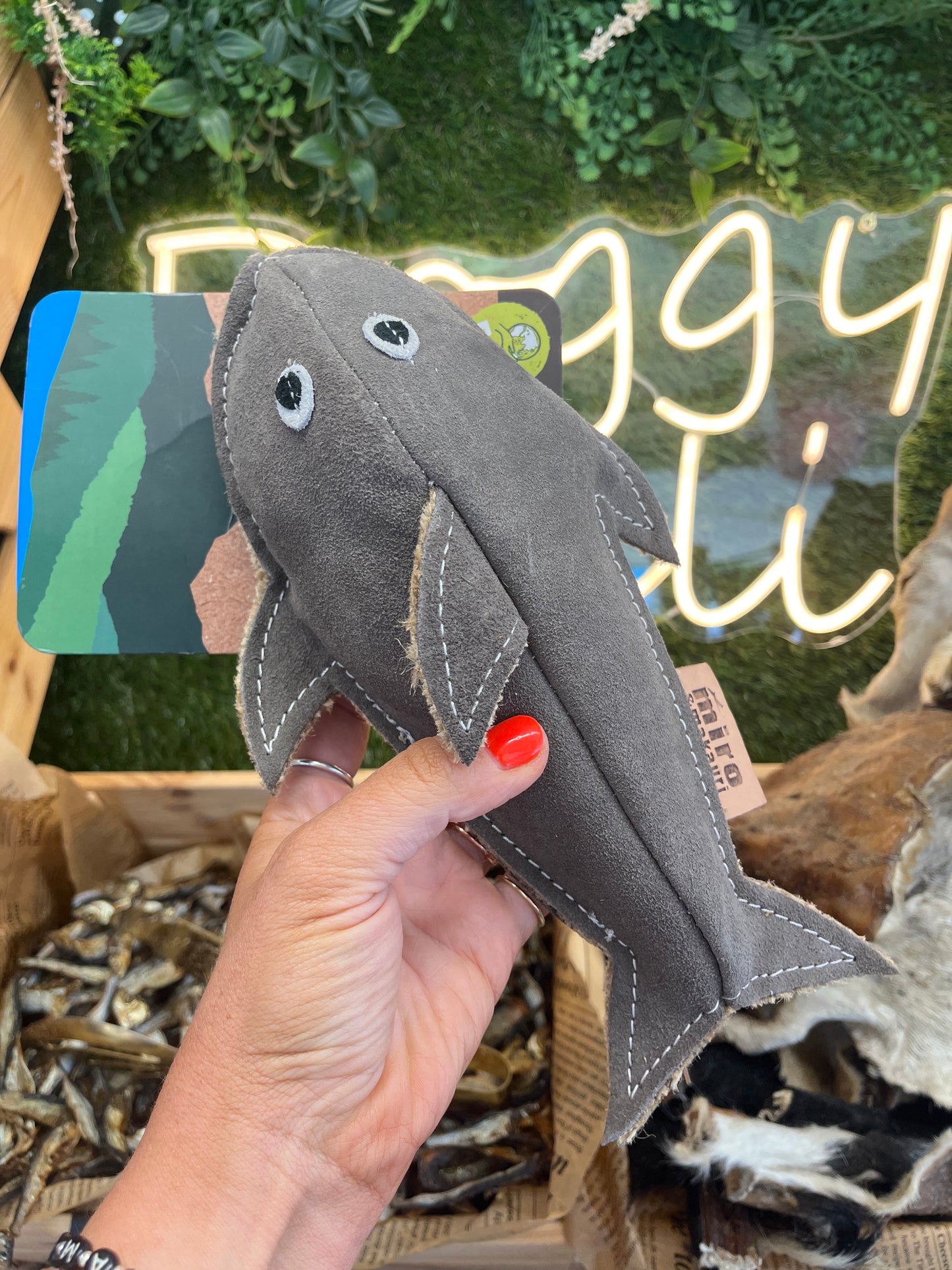 Sydney Shark Eco Dog Toy image 0