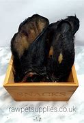 Hairy Cow Ear, single image 0