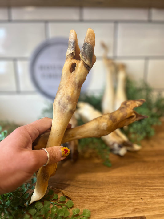 Goat Leg