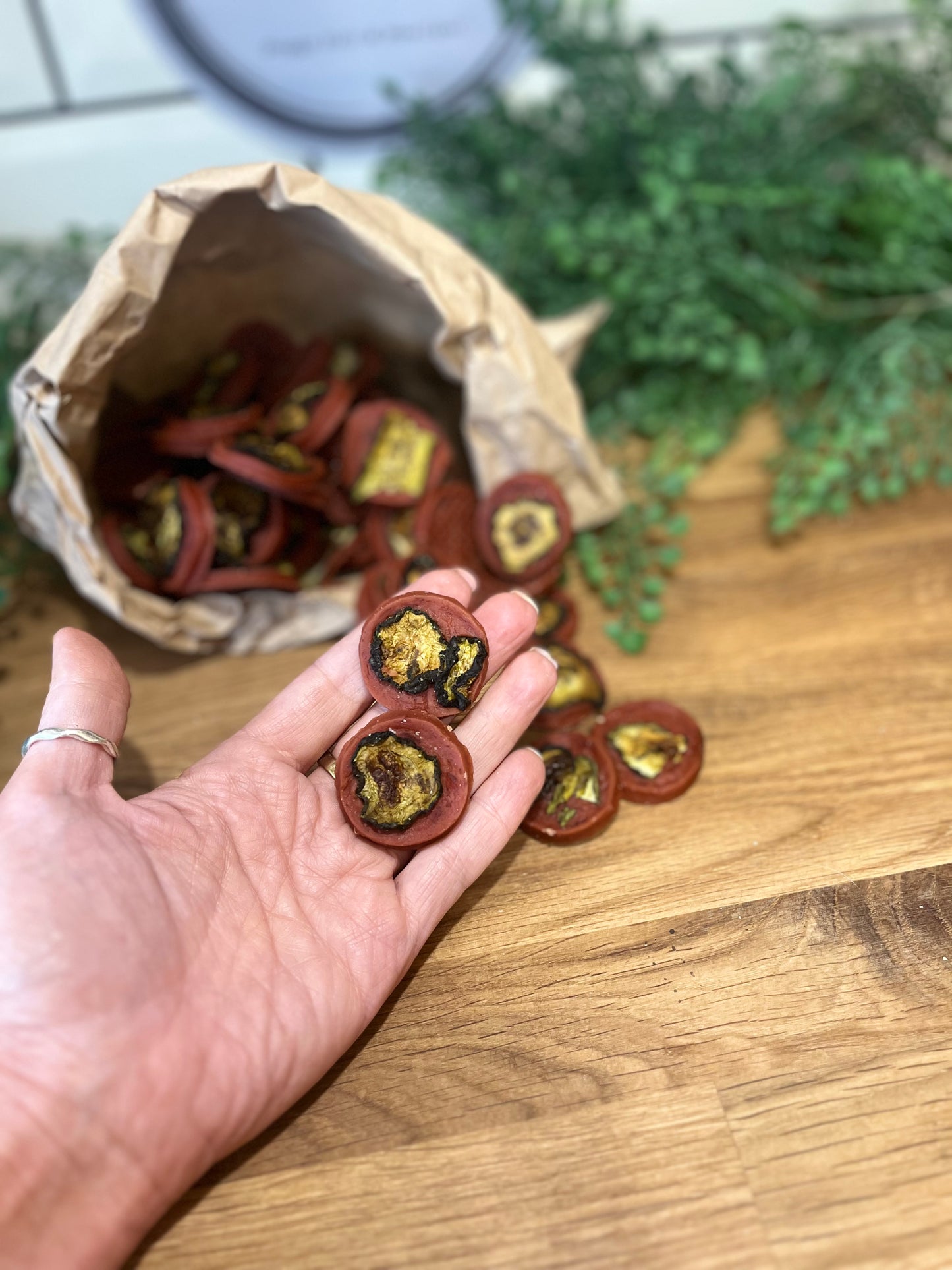 Duck & Cucumber Coins