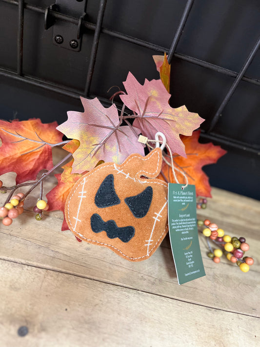 Jacko Lantern small breed Echo Toy