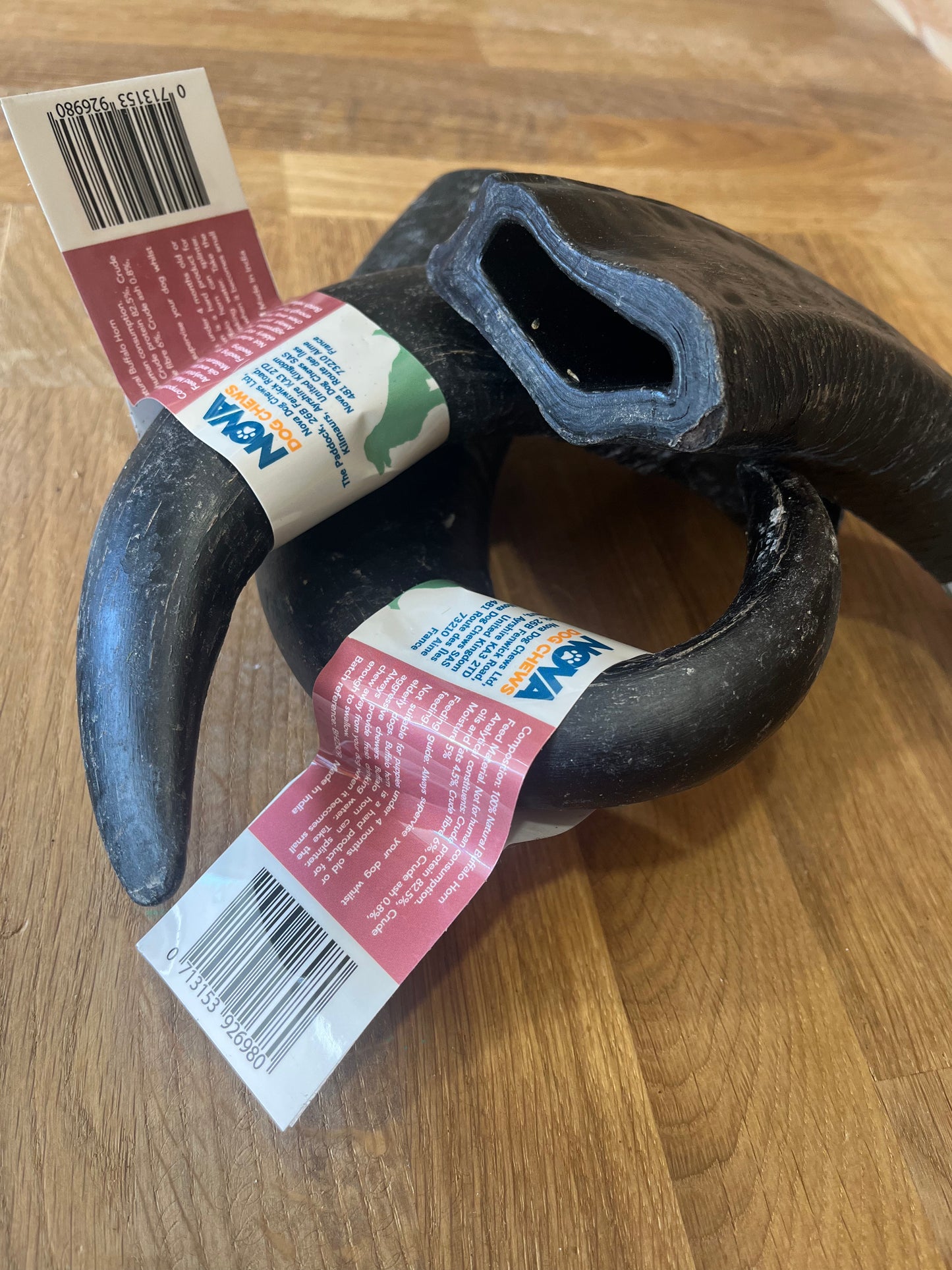 Large Buffalo Horn