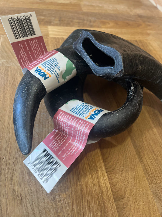 Large Buffalo Horn