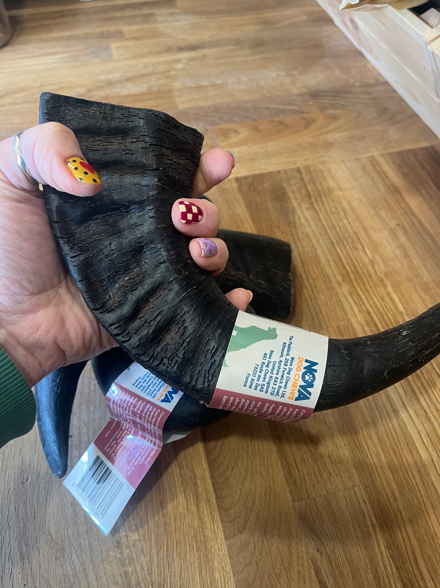 Large Buffalo Horn