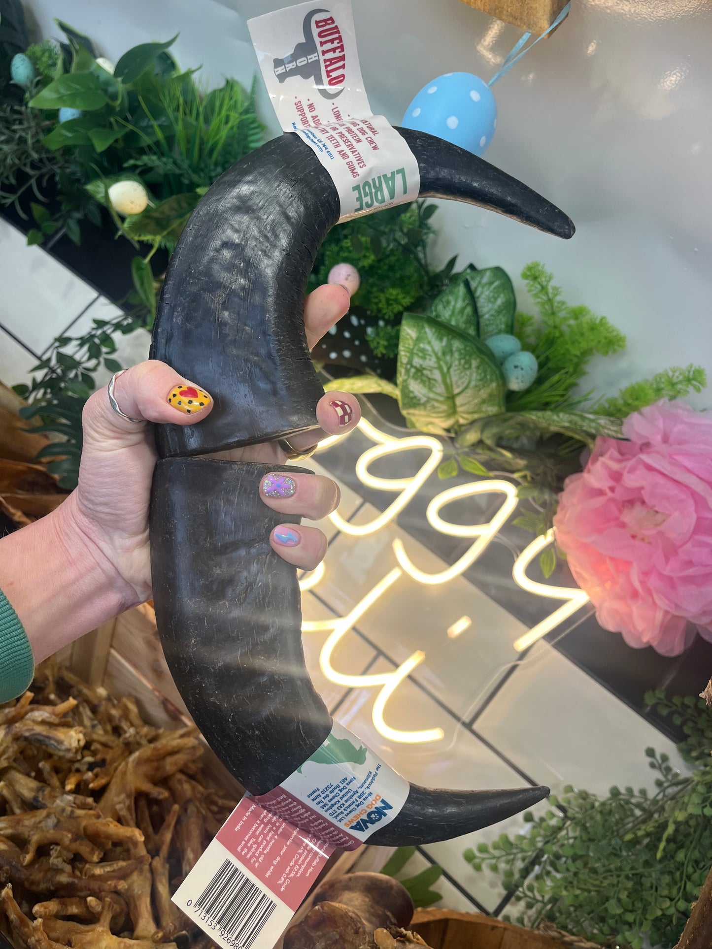 Large Buffalo Horn