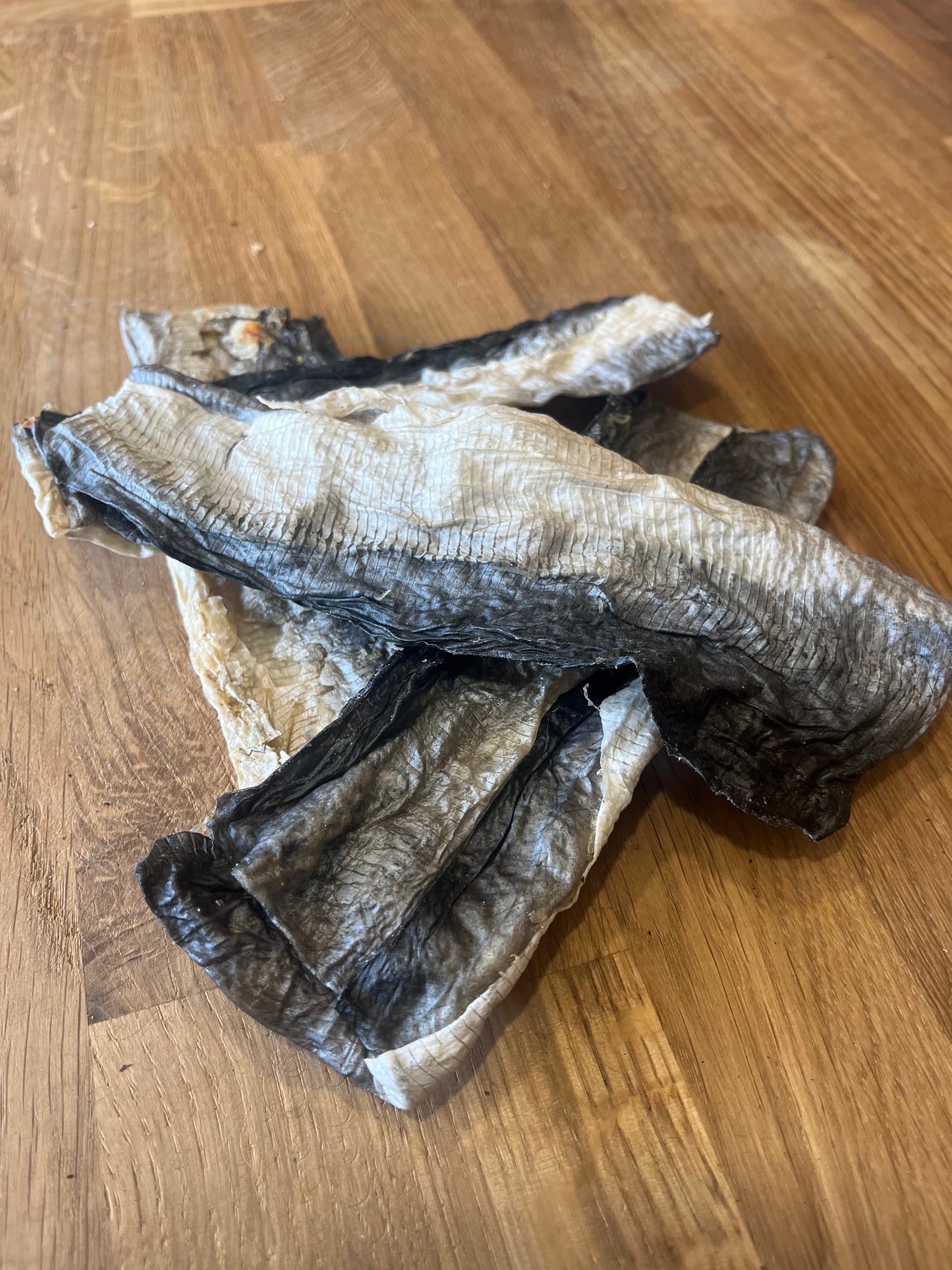 Fish Skin Flat