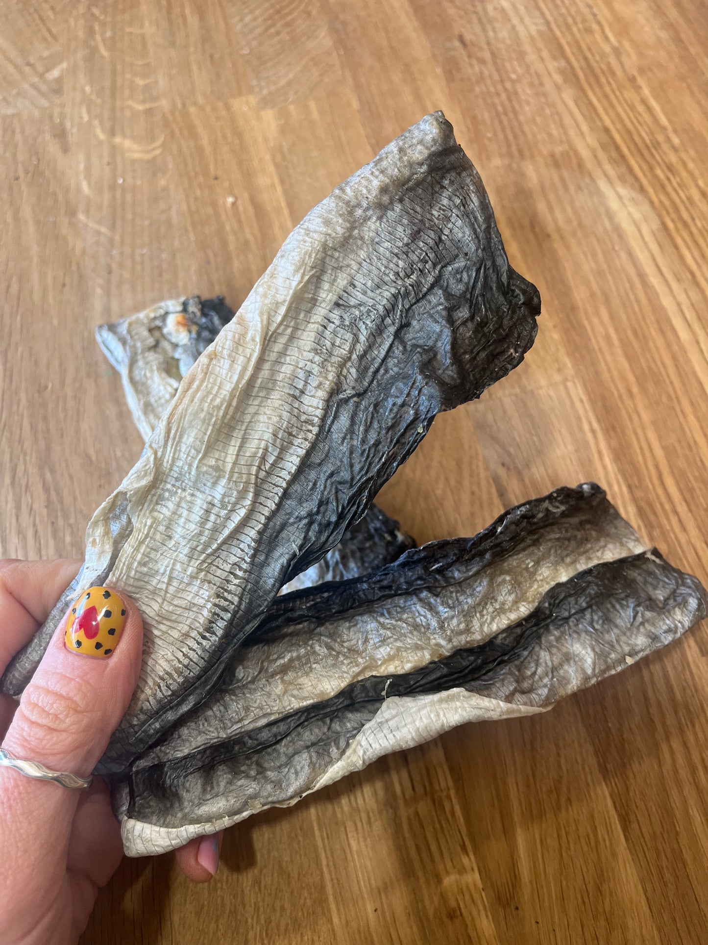 Fish Skin Flat