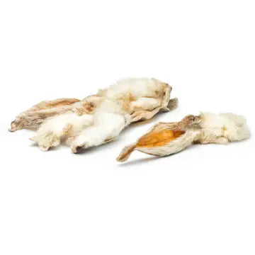 Rabbit Ear image 0