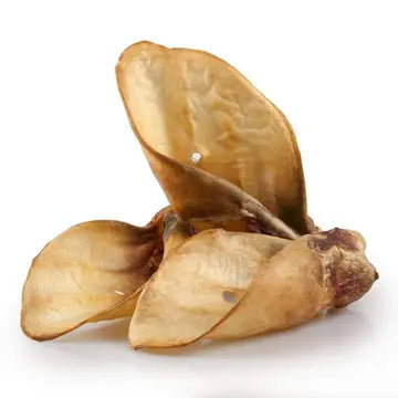 Buffalo Ear image 0