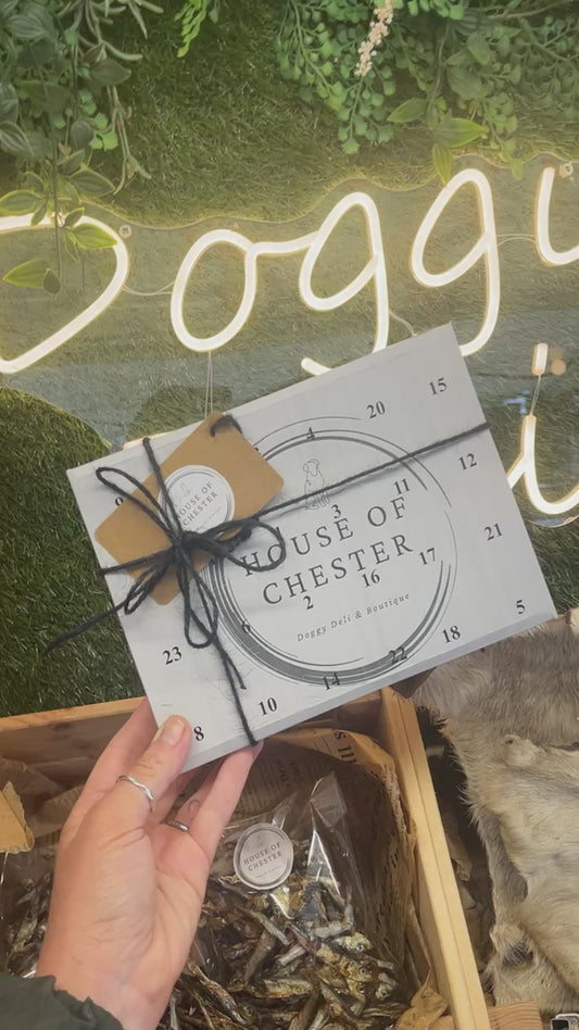 Chester’s 24 Day Doggy Advent Calendar 2025