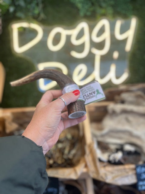 Deer Antler